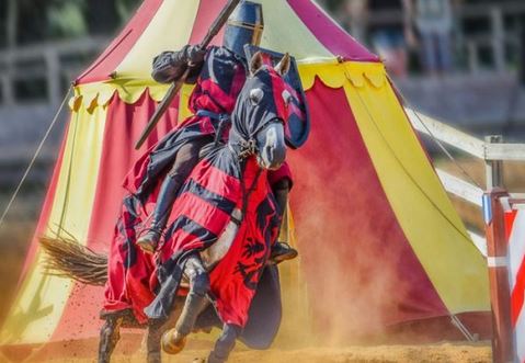 Fête médiévale - Été - Chevaliers - Château Talmont-Saint-Hilaire