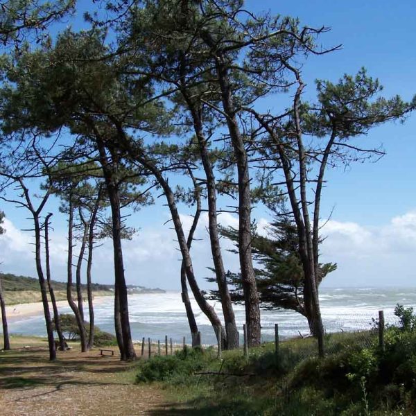 Ragounite Jard-sur-Mer ©Destination Vendée Grand Littoral