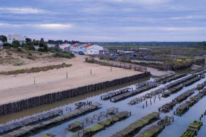 Le port ostréicole de la Guittière - ©Horizon Vertical