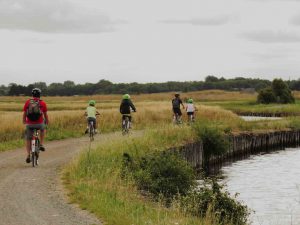 Jard-sur-Mer Marais - Vendée vélo