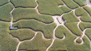 Le labyrinthe en délire à Talmont - ©Horizon Vertical