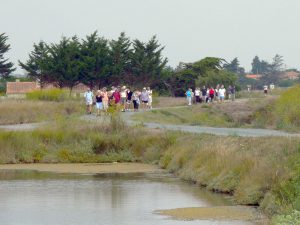 Les marais à Jard-sur-Mer - ©Destination Vendée Grand Littoral
