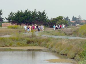 Les marais à Jard sur mer - crédit photo destination vendée grand littoral