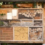 Maison à insecte - biodiversité - Crédit Photo : ©Pixabay