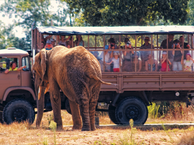 Safari avec Planet Sauvage - Crédit Photo : ©Planet Sauvage Safari avec Planet Sauvage - Crédit Photo : ©Planet Sauvage