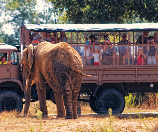 Safari avec Planet Sauvage - Crédit Photo : ©Planet Sauvage Safari avec Planet Sauvage - Crédit Photo : ©Planet Sauvage