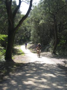 Piste cyclable forêt de Longeville-sur-Mer ©office de tourisme destination vendée grand littoral