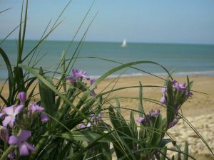 Plage et voile Longeville sur Mer ©Destination Vendée grand Littoral
