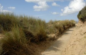 Promenade sur la pointe du Payré - ©Destination Vendée Grand Littoral