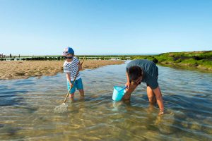 Plage du Veillon - Pêche crevettes ©Joncheray-Valery