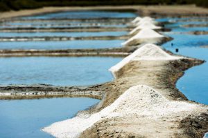 Talmont-Saint-Hilaire - Marais salants ©Joncheray-Valery
