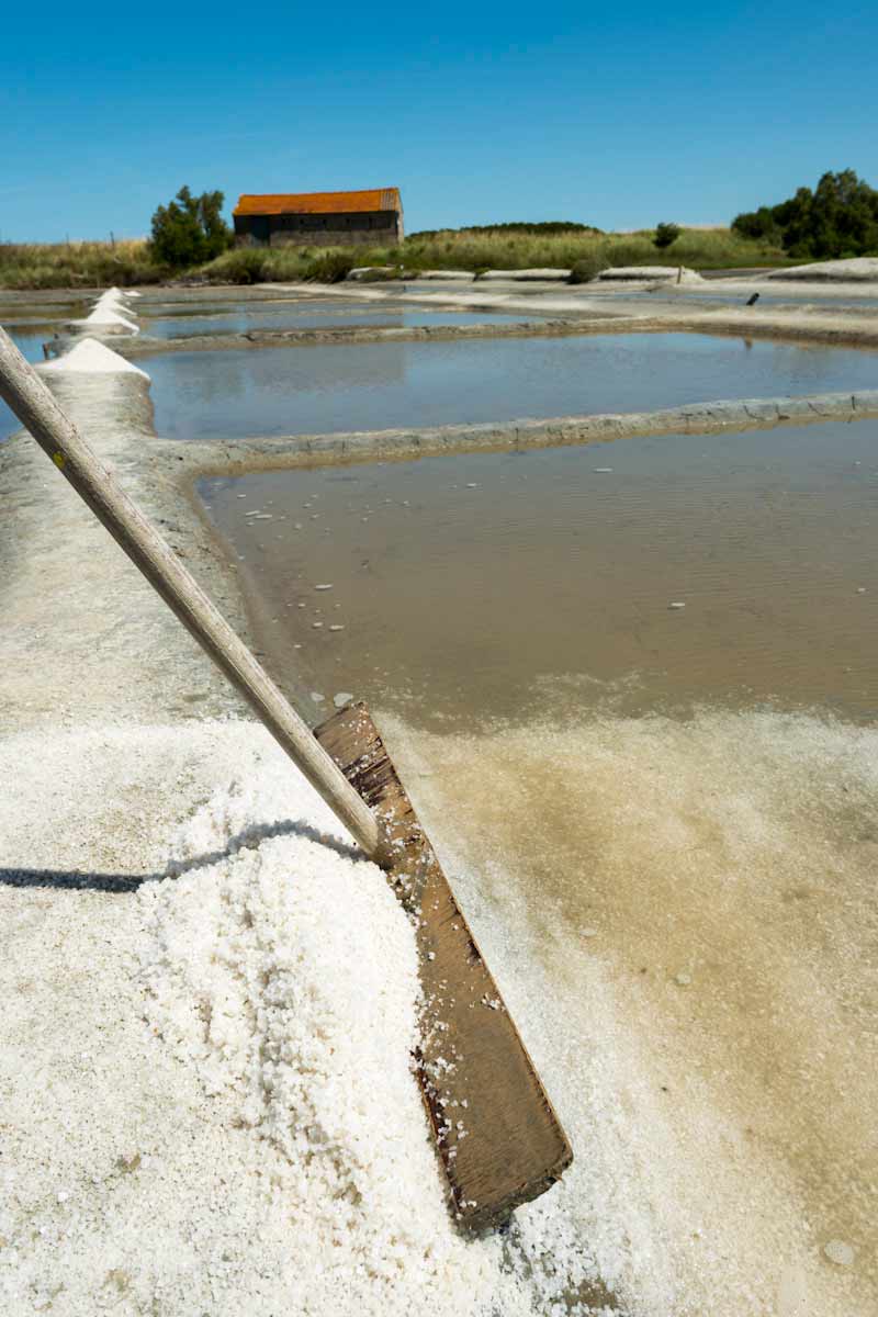 Talmont-Saint-Hilaire - Sel marais salants ©Joncheray-Valery