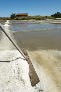 Marais salants de la Guittière