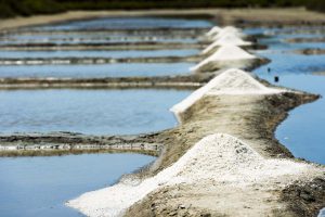 Marais salants sels de la Guittière