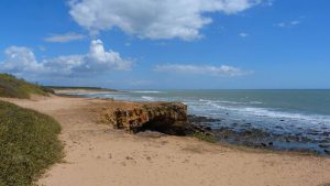 Vue de la Pointe du Payré - ©Destination Vendée Grand Littoral