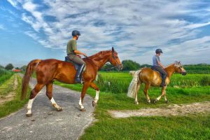 Balade à cheval dans la campagne