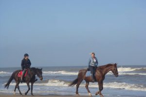 Balade à cheval sur la plage