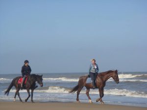 Balade à cheval sur la plage