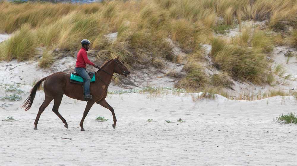 Balade à cheval - Destination Vendée Grand Littoral