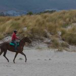 Balade équestre cheval sur la plage