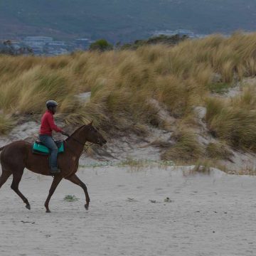 Balade équestre cheval sur la plage Balade équestre cheval sur la plage