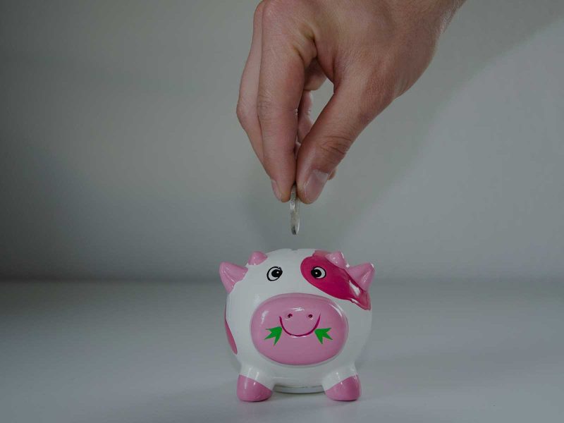 Bons plans Vend&eacute;e - R&eacute;ductions - Promotions