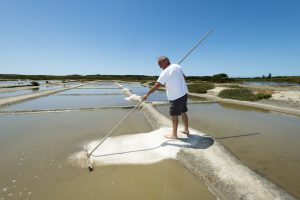 Marais salants de la Guittière