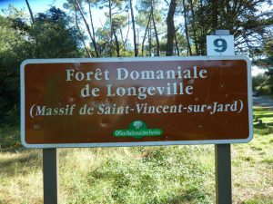 Circuit pédestre dans la forêt Saint-Vincent-sur-Jard