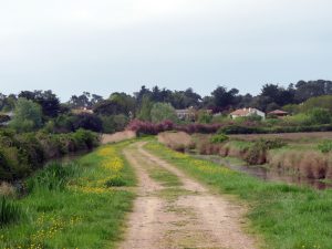 le long du marais à Jard sur mer - crédit photo destination vendée grand littoral