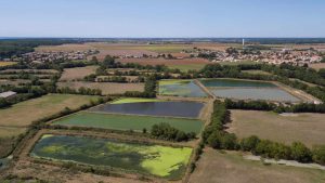 Maison du Marais de Longeville-sur-Mer - ©Horizon Vertical