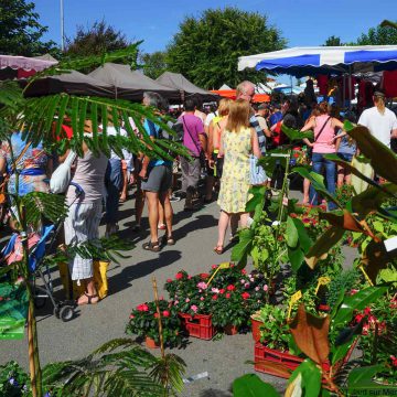 Marché à Jard-sur-Mer en Vendée