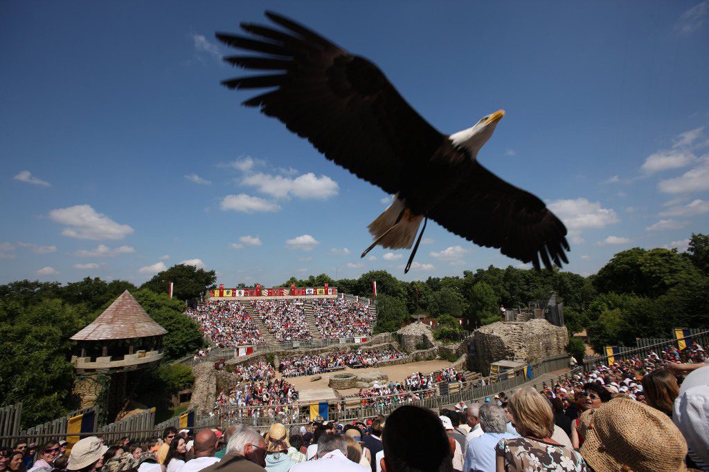 Puy du Fou - Les oiseaux