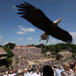 Puy du Fou - Les oiseaux