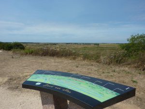 vue panoramique sur les marais de jard sur mer - crédit photo destination vendée grand littoral