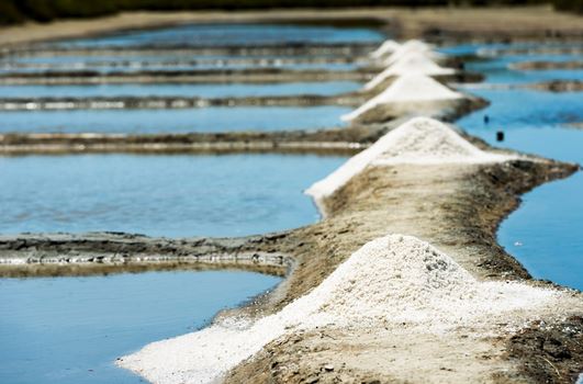 Marais salants de la Guittière Talmont-Saint-Hilaire - Sel