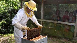 Fête des ruches Poiroux La Folie de Finfarine