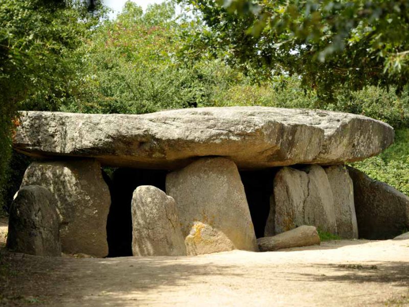 Le Bernard, Dolmen de la Frébouchère - ©Thomas Delonde