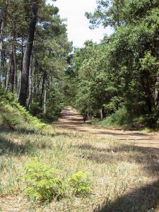 Randonnée Madoreau à Jard-sur-Mer