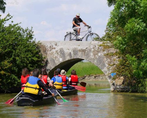 Maison du Marais à Longeville sur Mer Maison du Marais à Longeville sur Mer