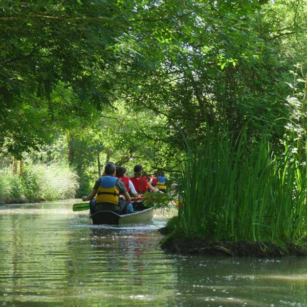 Maison du marais - Longeville-sur-Mer marais poitevin