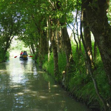 Maison du marais Longeville-sur-Mer Marais poitevin forêt