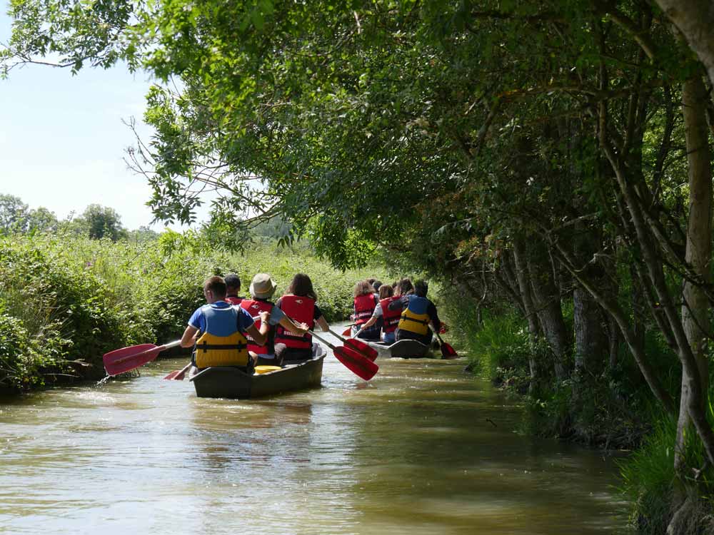 Maison du marais - Longeville-sur-mer - Balade en barque Marais Poitevin