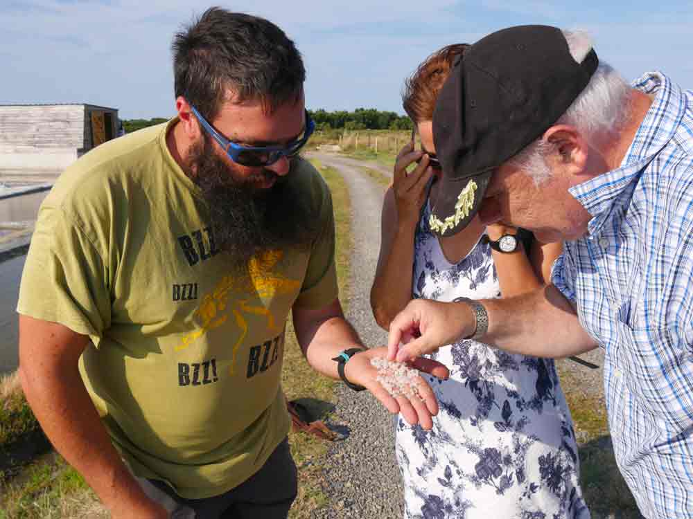 Visite avec le CCT dans les marais salants découverte du sel Visite avec le CCT dans les marais salants découverte du sel