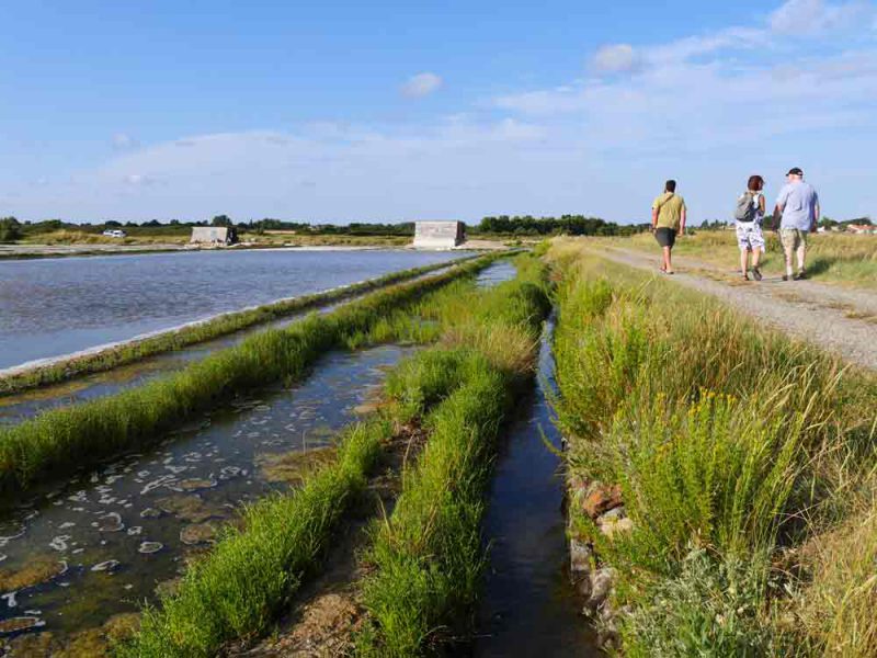 Marais Salants de la Guittière