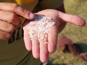 Visite avec le CCT dans les marais salants zoom sur le sel