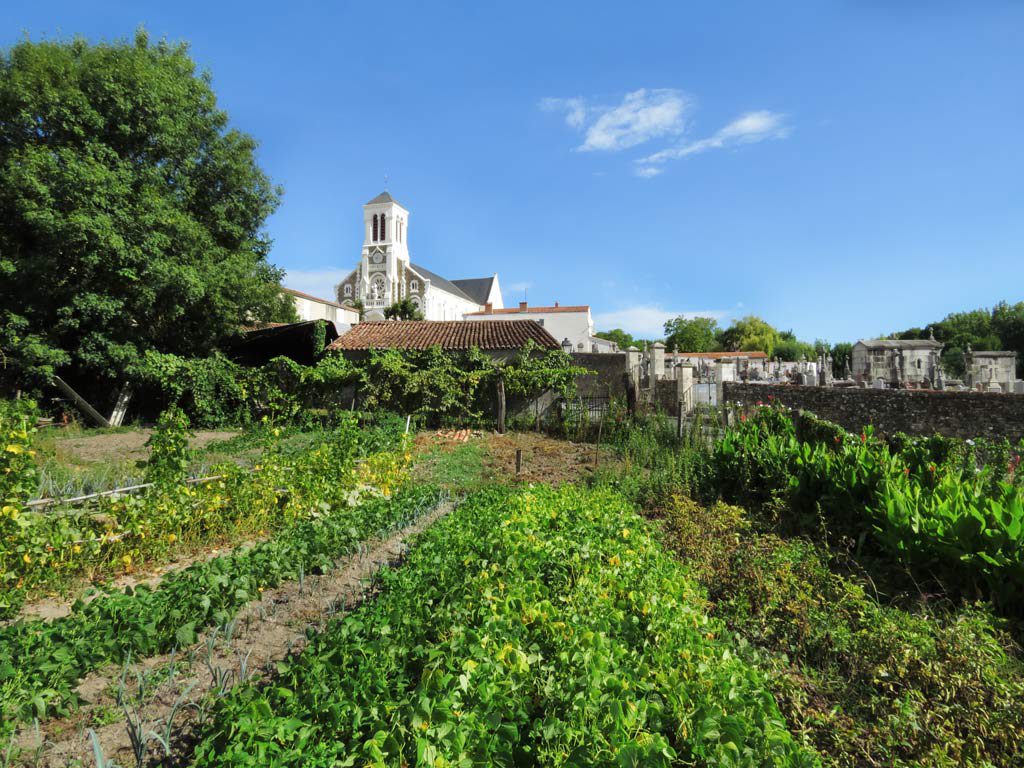 Le-Champ-Saint-Père vue sur l'église