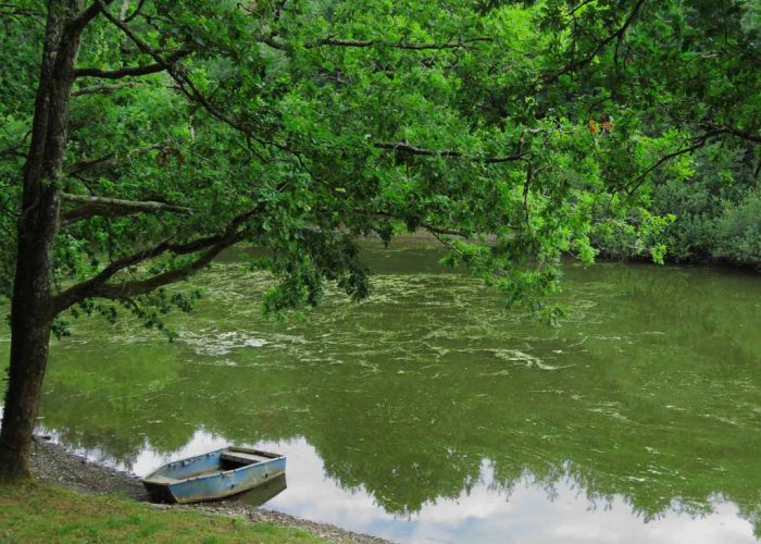 Lac de finfarine à Poiroux - @Horizon Vertical Lac de finfarine à Poiroux - @Horizon Vertical