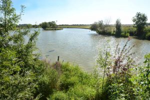 Saint-Benoist-sur-Mer le marais Poitevin