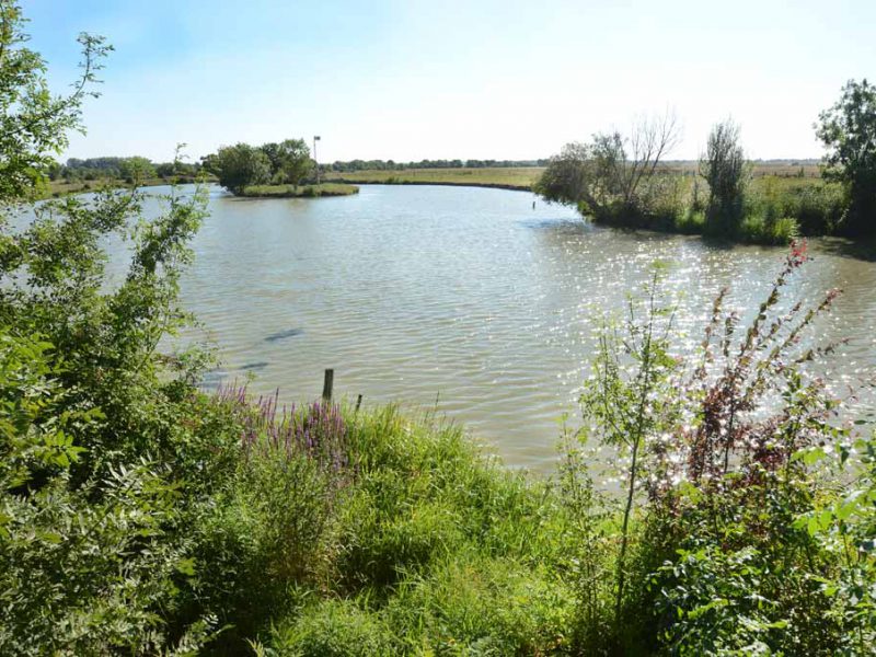 Saint-Benoist-sur-Mer le marais Poitevin