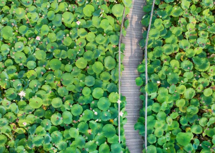Parc floral de la Court d'Aron - cr&eacute;dit : Horizon Vertical